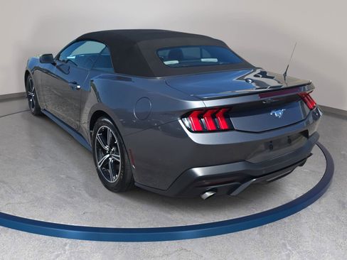 Used 2024 Ford Mustang Premium RWD image 7