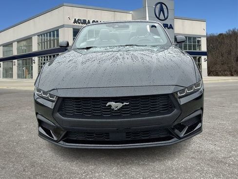 Used 2025 Ford Mustang Premium RWD image 2