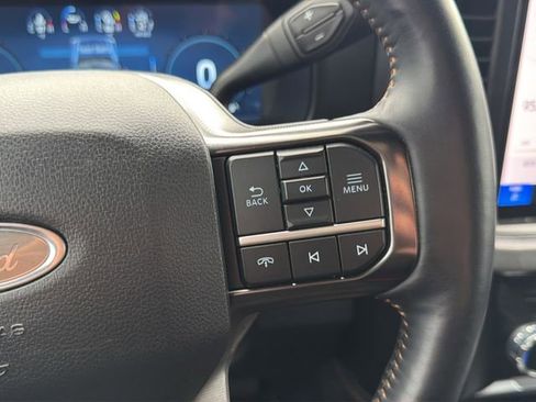 Used 2024 Ford F250 Platinum w/ Tremor Off-Road Package image 24