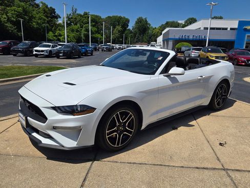 Used 2023 Ford Mustang Premium image 3