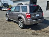 Used 2011 Ford Escape XLT w/ Convenience Group image 4