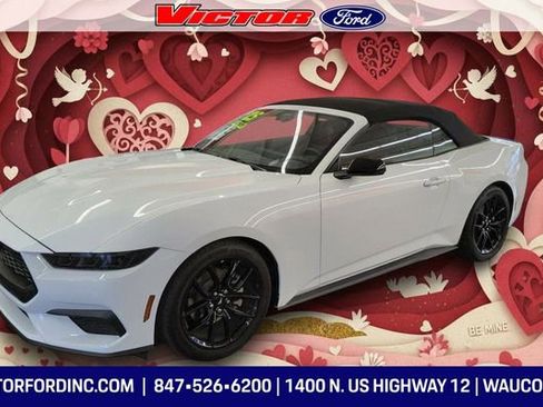 Used 2025 Ford Mustang Premium image 1