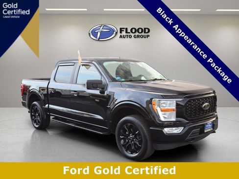 Used 2022 Ford F150 XL w/ STX Black Appearance Package image 1