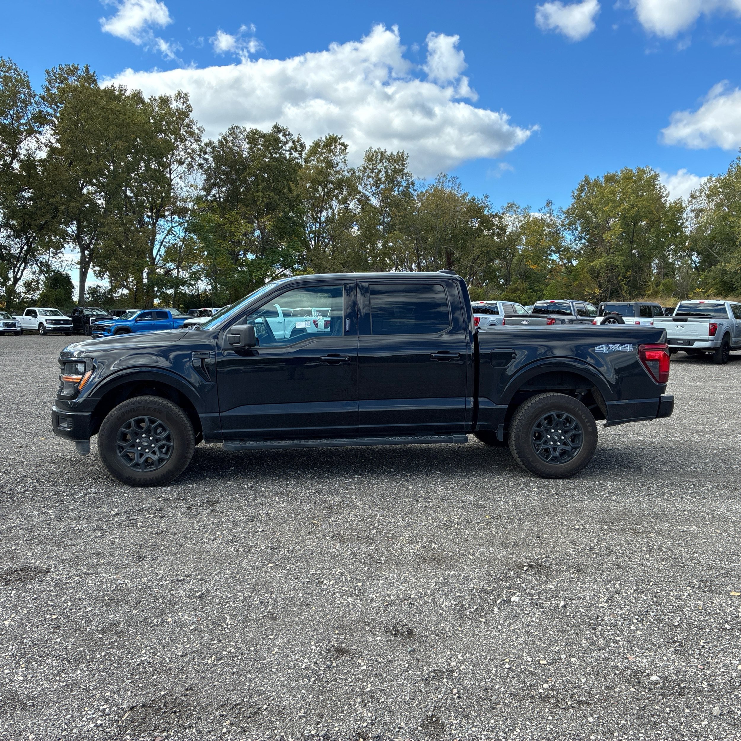 Used 2024 Ford F150 XLT w/ XLT Black Appearance Package AWD/4WD image 6