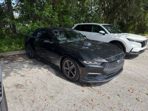 Used 2024 Ford Mustang Premium RWD image 2
