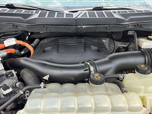 Used 2021 Ford F150 XLT w/ Equipment Group 302A High AWD/4WD image 29