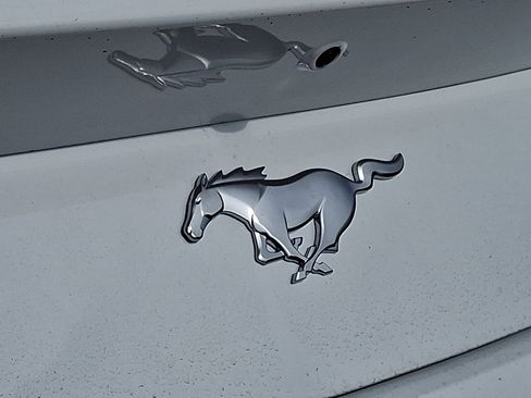 New 2025 Ford Mustang Premium image 5
