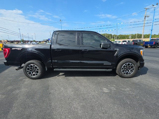 Used 2023 Ford F150 XLT w/ Equipment Group 302A High AWD/4WD image 4