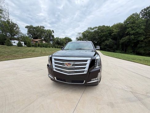 Used 2016 Cadillac Escalade Platinum AWD/4WD image 2