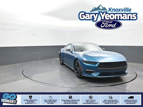 New 2026 Ford Mustang Premium w/ Mustang Nite Pony Package RWD image 1