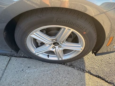 New 2026 Ford Mustang Coupe image 14