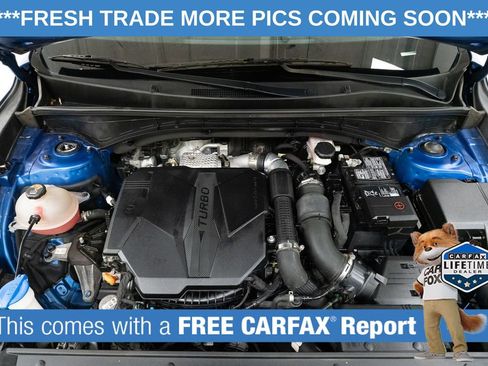 Used 2021 Kia Sorento EX w/ Panoramic Sunroof Package image 3