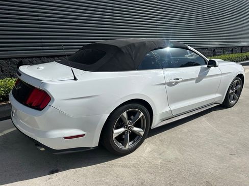 Used 2017 Ford Mustang Premium image 9