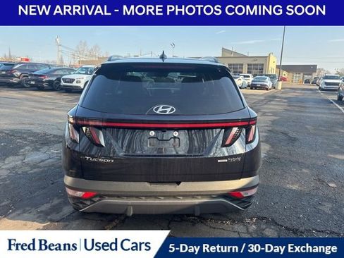 Certified 2023 Hyundai Tucson Limited image 7