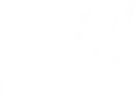 Used 2020 BMW X6 sDrive40i image 11