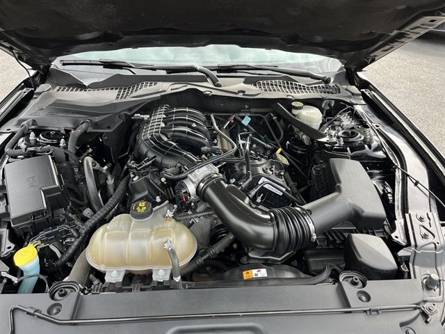 Used 2017 Ford Mustang Convertible RWD image 16