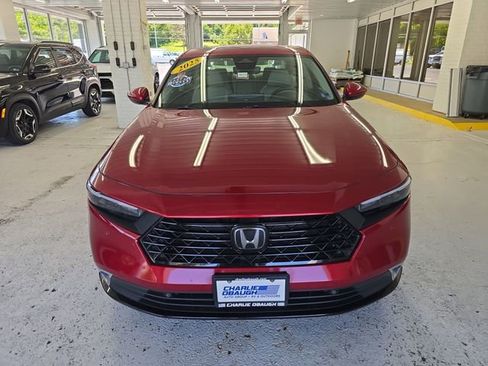 Used 2025 Honda Accord Touring image 8