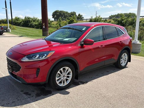 Used 2020 Ford Escape SE AWD/4WD image 5