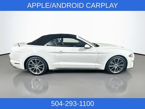 Used 2019 Ford Mustang Premium w/ Equipment Group 201A RWD image 6