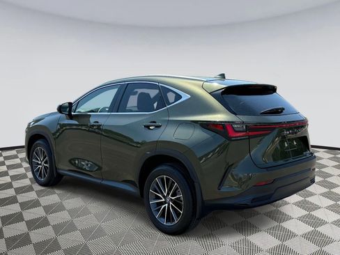 Used 2024 Lexus NX 350h AWD image 4