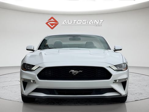 Used 2019 Ford Mustang Premium RWD image 3