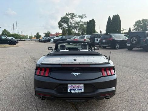 Used 2024 Ford Mustang Premium RWD image 12