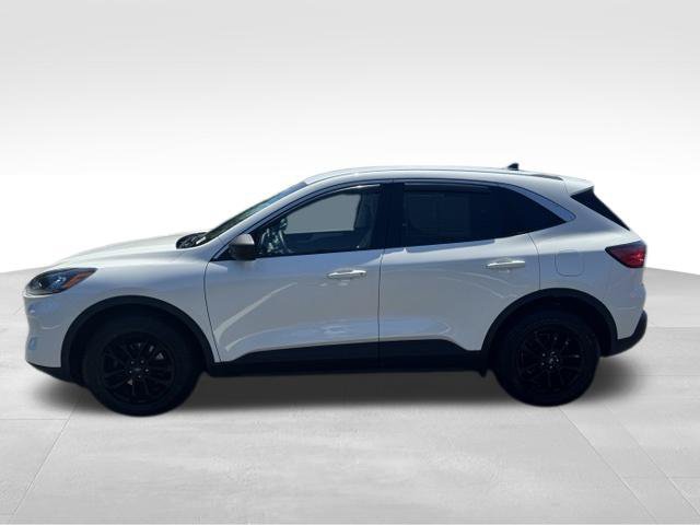 Used 2022 Ford Escape SE w/ Cold Weather Package AWD/4WD image 5