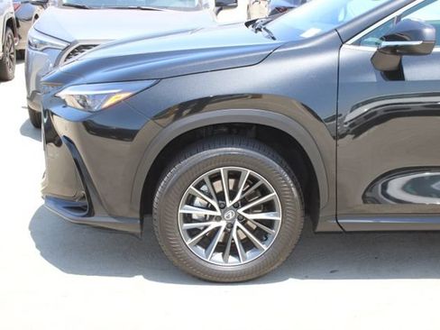 Certified 2026 Lexus NX 350h AWD w/ Cold Area Package image 4