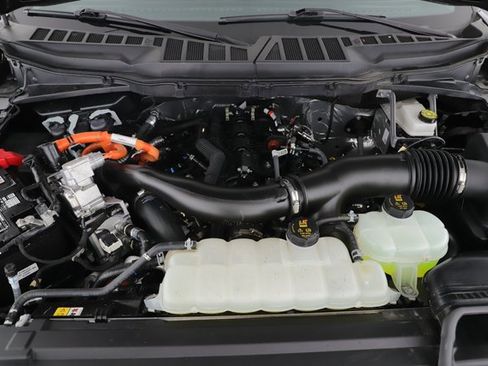 Used 2025 Ford F150 XLT w/ Equipment Group 301A Standard image 21