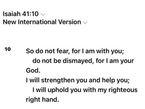 Used 2019 Land Rover Discovery Sport SE image 33