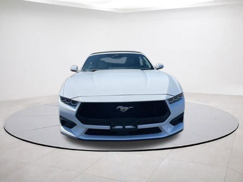 Used 2024 Ford Mustang Premium RWD image 2