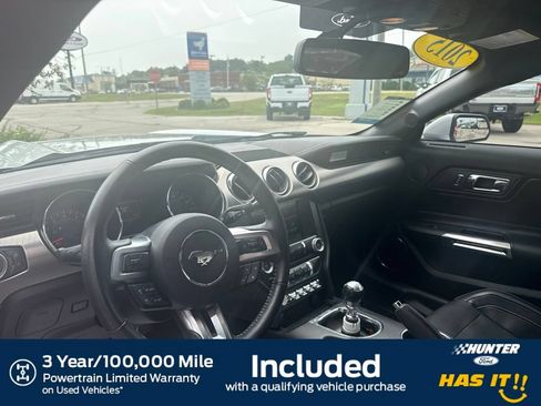 Used 2015 Ford Mustang GT Premium w/ 50 Years Appearance Package RWD image 2