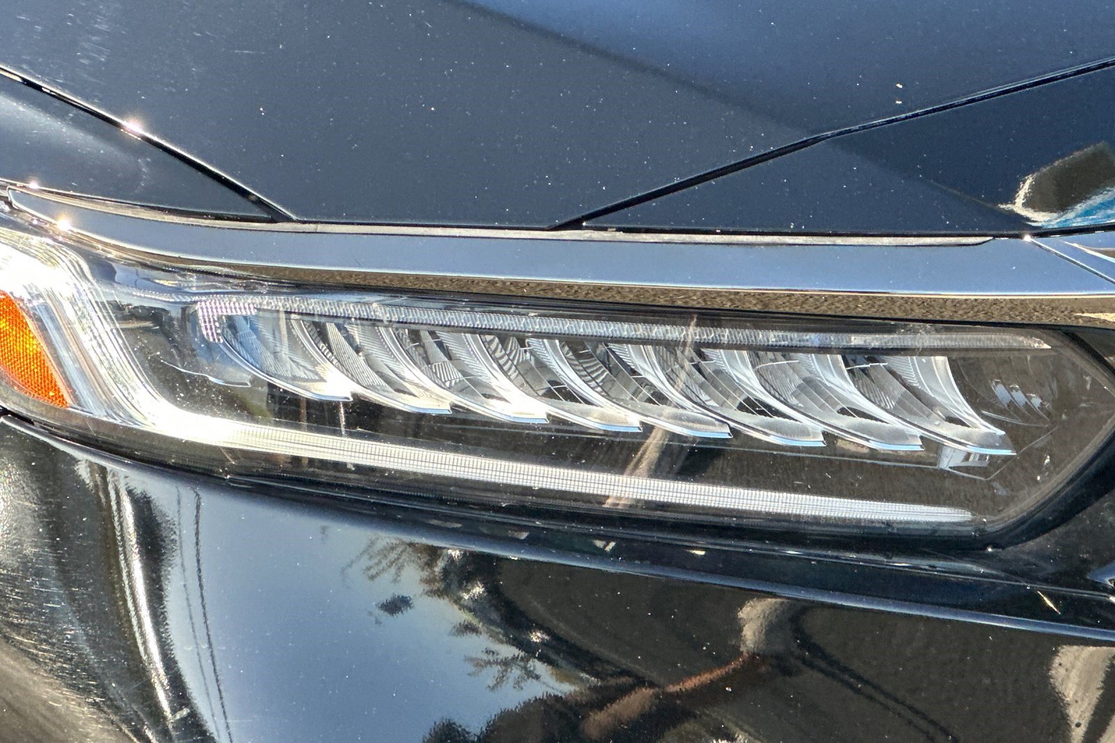 Certified 2021 Honda Accord Sport Special Edition image 12