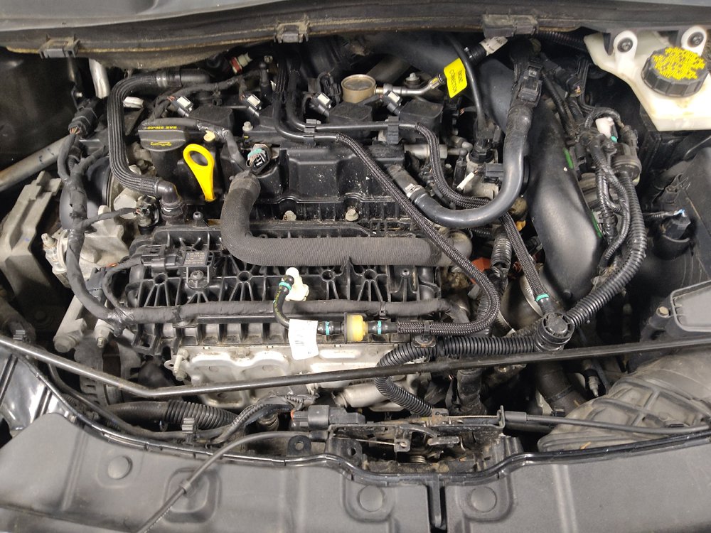 Used 2018 Ford Escape SE FWD image 30