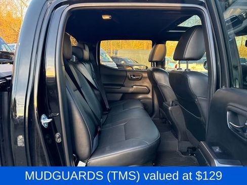 Used 2023 Toyota Tacoma Limited w/ Nightshade Package image 11