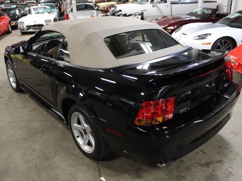 Used 1999 Ford Mustang Cobra RWD image 19