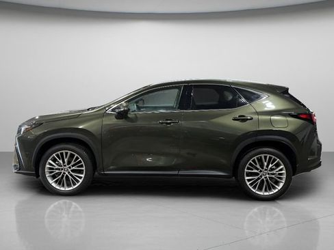 Used 2025 Lexus NX 350h AWD w/ Cold Area Package image 9
