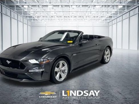 Used 2019 Ford Mustang GT Premium w/ Equipment Group 401A RWD image 5