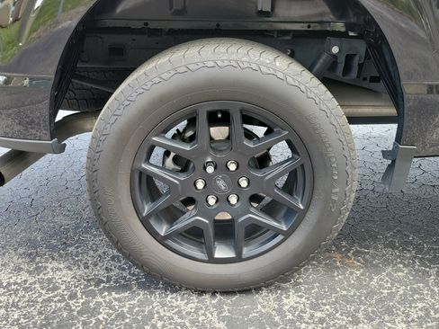 Used 2025 Ford F150 STX w/ STX Black Appearance Package AWD/4WD image 7