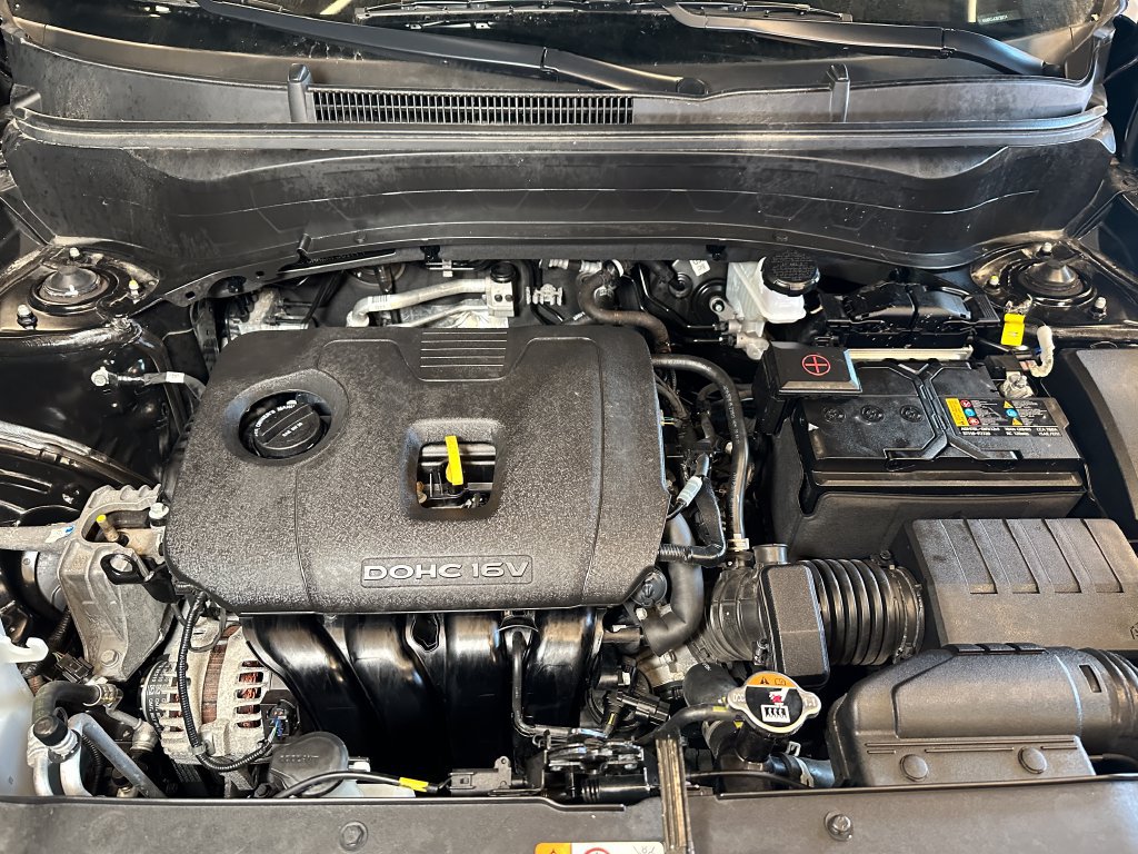 Used 2024 Kia Seltos LX AWD/4WD image 23