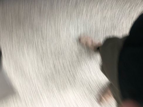 Used 2019 Chevrolet Impala LT image 30