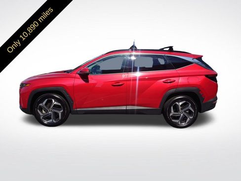 Used 2023 Hyundai Tucson Limited AWD/4WD image 2