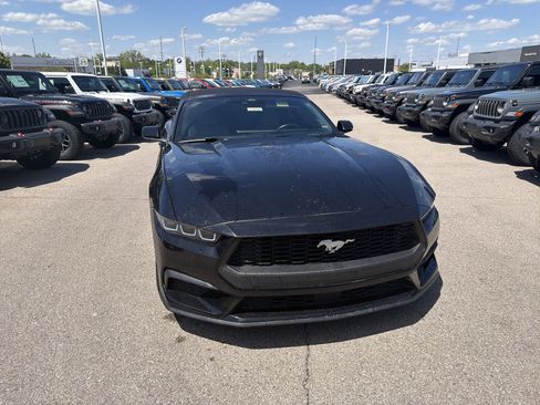 Used 2024 Ford Mustang Premium RWD image 3