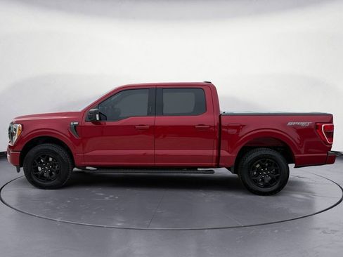 Used 2021 Ford F150 XLT w/ Equipment Group 302A High AWD/4WD image 2