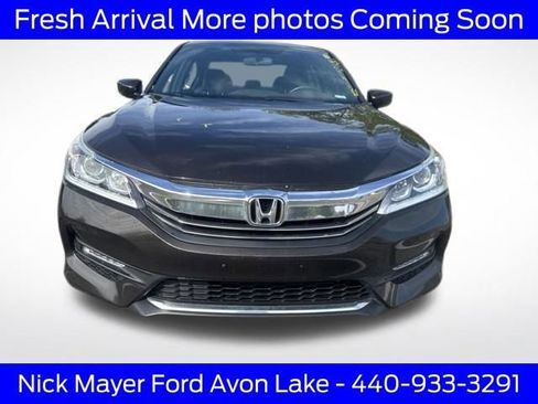 Used 2016 Honda Accord Sport image 8