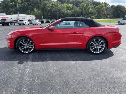 Used 2023 Ford Mustang Premium w/ Equipment Group 201A RWD image 6