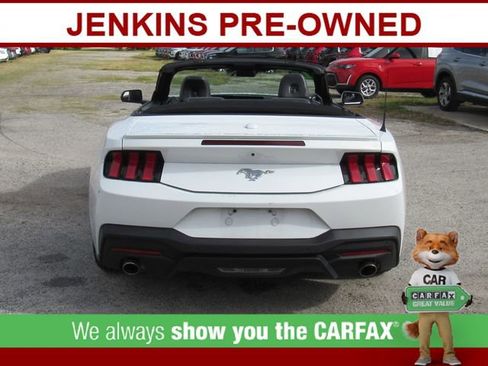 Used 2024 Ford Mustang Premium image 4