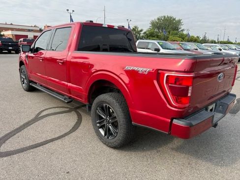 Certified 2021 Ford F150 XLT w/ Equipment Group 302A High AWD/4WD image 8