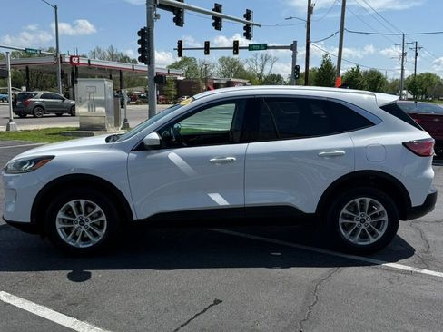 Used 2020 Ford Escape SE image 10