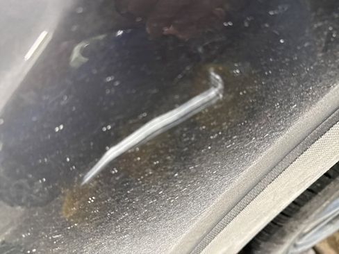 Used 2022 Subaru Forester Limited image 15